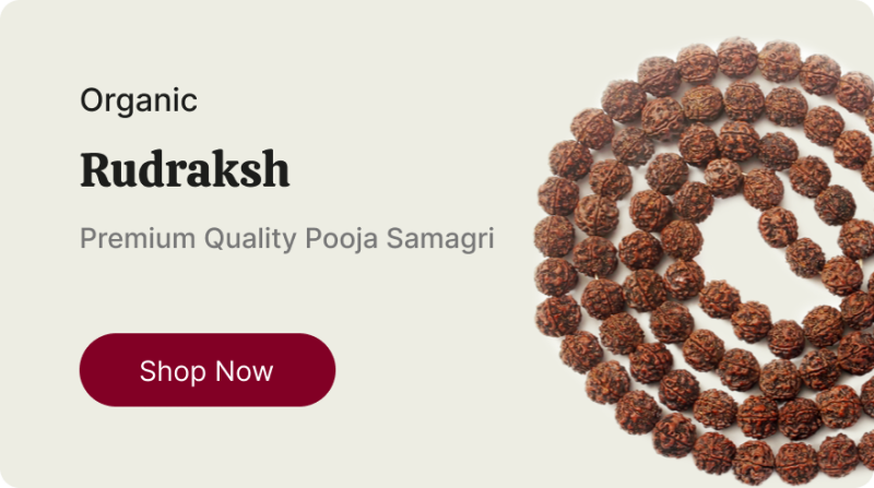 Rudraksha