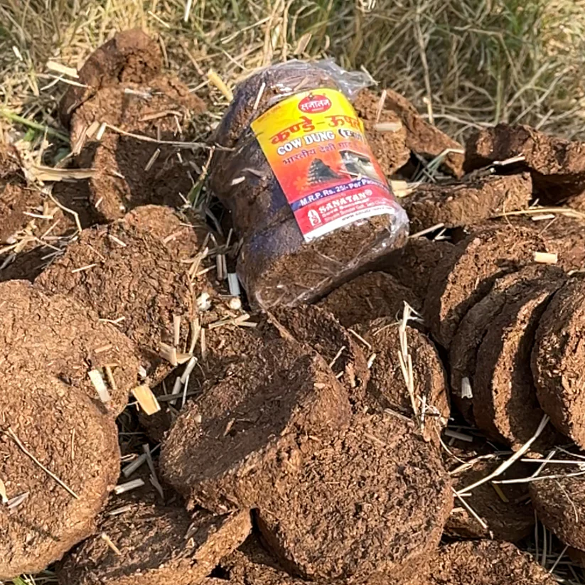 Cow Dung Cakes